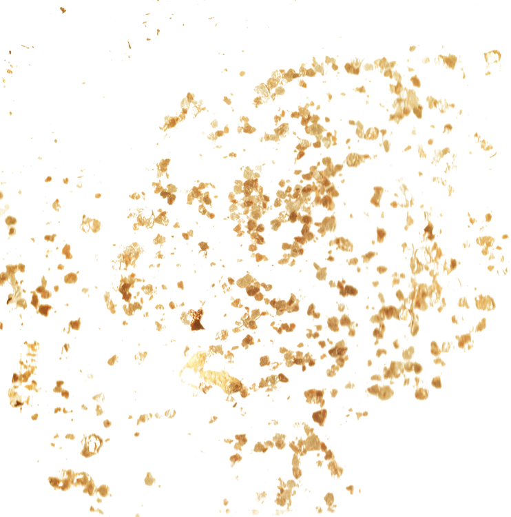 Shiny Gold Foil Flakes Texture